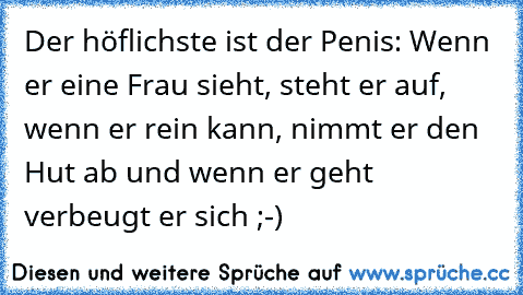 Der höflichste ist der Penis: Wenn er eine Frau sieht, steht er auf, wenn er rein kann, nimmt er den Hut ab und wenn er geht verbeugt er sich ;-)