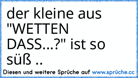 der kleine aus "WETTEN DASS...?" ist so süß ..♥