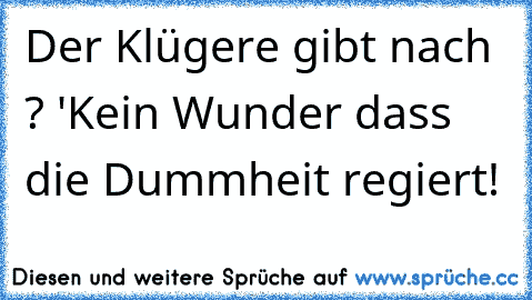 Der Klügere gibt nach ? 'Kein Wunder dass die Dummheit regiert!