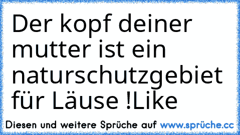 Der kopf deiner mutter ist ein naturschutzgebiet für Läuse !
Like