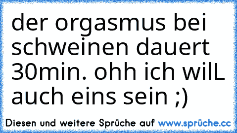 der orgasmus bei schweinen dauert 30min. ohh ich wilL auch eins sein ;)