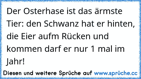 Der Osterhase ist das ärmste Tier: den Schwanz hat er hinten, die Eier aufm Rücken und kommen darf er nur 1 mal im Jahr!