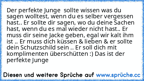 Der perfekte Junge ♥ sollte wissen was du sagen wolltest, wenn du es selber vergessen hast.. Er sollte dir sagen, wo du deine Sachen hast, wenn du es mal wieder nicht hast.. Er muss dir seine Jacke geben, egal wir kalt ihm ist .. Er muss dich küssen & lieben & er sollte dein Schutzschild sein .. Er soll dich mit komplimenten überschütten :) 
Das ist der perfekte Junge ♥♥