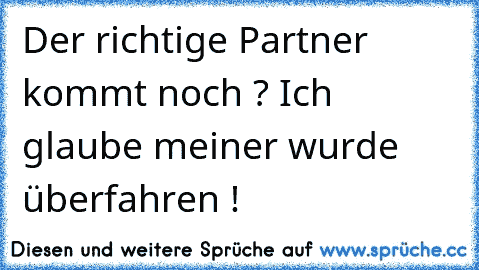 Der richtige Partner kommt noch ? Ich glaube meiner wurde überfahren !