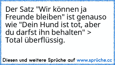 Der Satz "Wir können ja Freunde bleiben" ist genauso wie "Dein Hund ist tot, aber du darfst ihn behalten" > Total überflüssig.