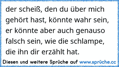 der scheiß, den du über mich gehört hast, könnte wahr sein, er könnte aber auch genauso falsch sein, wie die schlampe, die ihn dir erzählt hat.