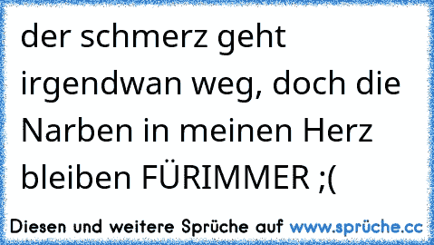 der schmerz geht irgendwan weg, doch die Narben in meinen Herz bleiben FÜRIMMER ;( 