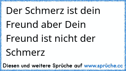 Der Schmerz ist dein Freund aber Dein Freund ist nicht der Schmerz