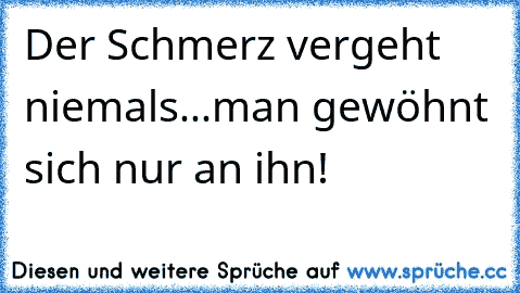 Der Schmerz vergeht niemals...man gewöhnt sich nur an ihn!