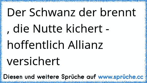 Der Schwanz der brennt , die Nutte kichert - hoffentlich Allianz versichert☢