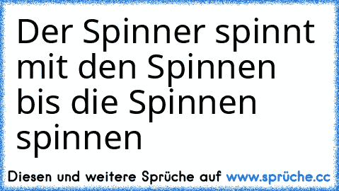 Der Spinner spinnt mit den Spinnen bis die Spinnen spinnen