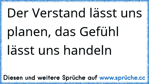 Der Verstand lässt uns planen, das Gefühl lässt uns handeln