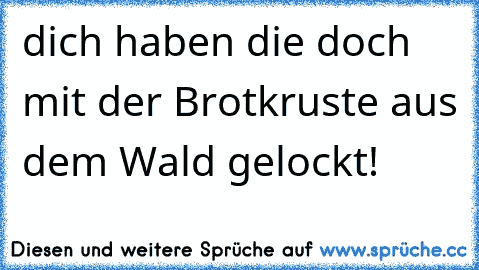 dich haben die doch mit der Brotkruste aus dem Wald gelockt!