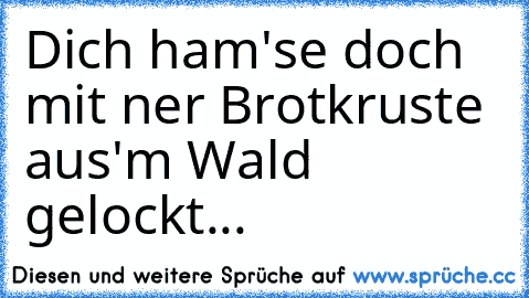 Dich ham'se doch mit ner Brotkruste aus'm Wald gelockt...