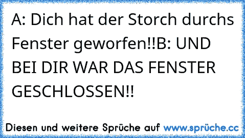 A: Dich hat der Storch durchs Fenster geworfen!!
B: UND BEI DIR WAR DAS FENSTER GESCHLOSSEN!!