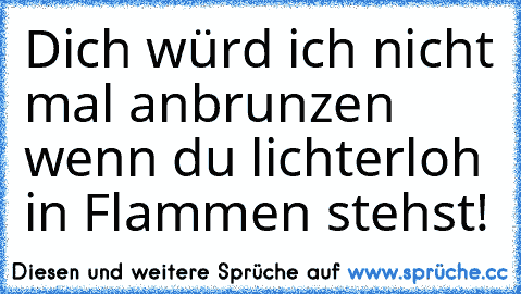 Dich würd ich nicht mal anbrunzen wenn du lichterloh in Flammen stehst!