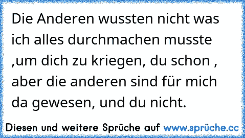 Die Anderen wussten nicht was ich alles durchmachen musste ,um dich zu kriegen, du schon , aber die anderen sind für mich da gewesen, und du nicht.