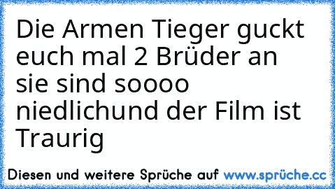 Die Armen Tieger guckt euch mal 2 Brüder an sie sind soooo niedlich
und der Film ist Traurig