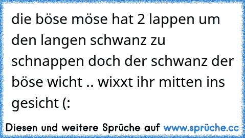 die böse möse hat 2 lappen um den langen schwanz zu schnappen doch der schwanz der böse wicht .. wixxt ihr mitten ins gesicht (: