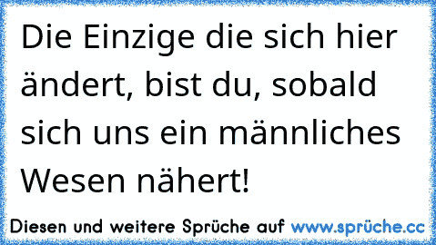 Die Einzige die sich hier ändert, bist du, sobald sich uns ein männliches Wesen nähert!