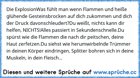 Die Explosion
Was fühlt man wenn Flammen und heiße glühende Gesteinsbrocken auf dich zukommen und dich der Druck davonschleudert?
Du weißt, nichts kann dir helfen, NICHTS!
Alles passiert in Sekundenschnelle.
Du spürst wie die Flammen die nach dir peitschen, deine Haut zerfetzen.
Du siehst wie herumwirbelnde Trümmer in deinen Körper eindringen, Splitter bohren sich in deine Muskeln, in dein Flei...