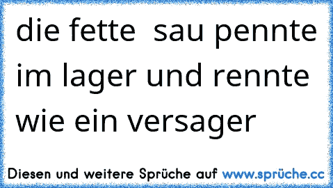 die fette  sau pennte im lager und rennte wie ein versager