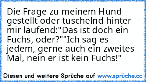 Die Frage zu meinem Hund gestellt oder tuschelnd hinter mir laufend:
"Das ist doch ein Fuchs, oder?"
"Ich sag es jedem, gerne auch ein zweites Mal, nein er ist kein Fuchs!"