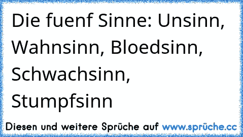 Die fuenf Sinne: Unsinn, Wahnsinn, Bloedsinn, Schwachsinn, Stumpfsinn