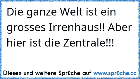 Die ganze Welt ist ein grosses Irrenhaus!! Aber hier ist die Zentrale!!!