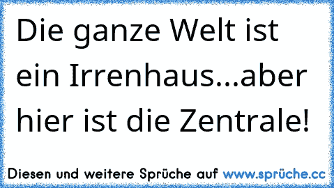 Die ganze Welt ist ein Irrenhaus...aber hier ist die Zentrale!