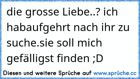 die grosse Liebe..? ich habaufgehrt nach ihr zu suche.sie soll mich gefälligst finden ;D