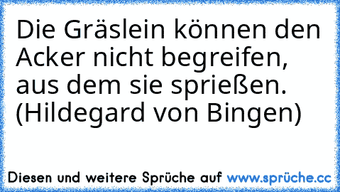 Die Gräslein können den Acker nicht begreifen, aus dem sie sprießen. (Hildegard von Bingen)