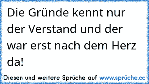 Die Gründe kennt nur der Verstand und der war erst nach dem Herz da!