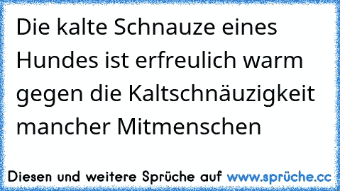 Die kalte Schnauze eines Hundes ist erfreulich warm gegen die Kaltschnäuzigkeit mancher Mitmenschen