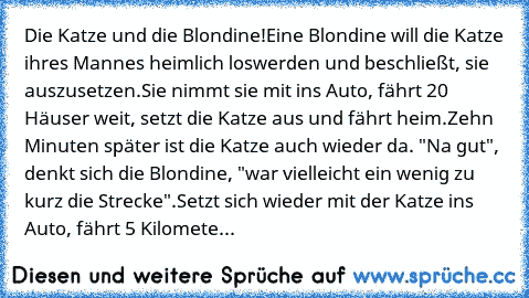 Die Katze und die Blondine!
Eine Blondine will die Katze ihres Mannes heimlich loswerden und beschließt, sie auszusetzen.
Sie nimmt sie mit ins Auto, fährt 20 Häuser weit, setzt die Katze aus und fährt heim.
Zehn Minuten später ist die Katze auch wieder da. 
"Na gut", denkt sich die Blondine, "war vielleicht ein wenig zu kurz die Strecke".
Setzt sich wieder mit der Katze ins Auto, fährt 5 Kilomete...