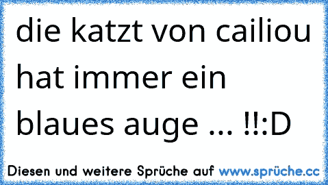 die katzt von cailiou hat immer ein blaues auge ... !!
:D