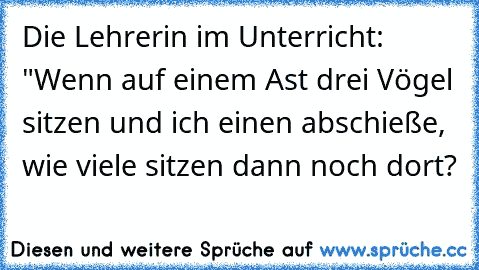 Die Lehrerin im Unterricht: "Wenn auf einem Ast drei Vögel sitzen und ich einen abschieße, wie viele sitzen dann noch dort?