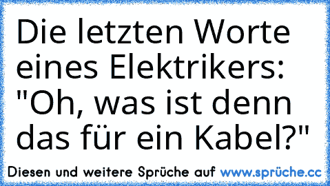 Die letzten Worte eines Elektrikers: "Oh, was ist denn das für ein Kabel?"