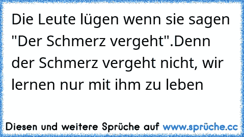 Die Leute lügen wenn sie sagen "Der Schmerz vergeht".
Denn der Schmerz vergeht nicht, wir lernen nur mit ihm zu leben ♥