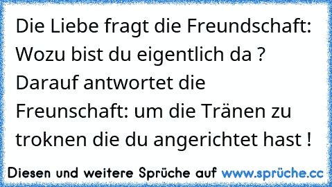 Die Liebe fragt die Freundschaft: Wozu bist du eigentlich da ? Darauf antwortet die Freunschaft: um die Tränen zu troknen die du angerichtet hast !