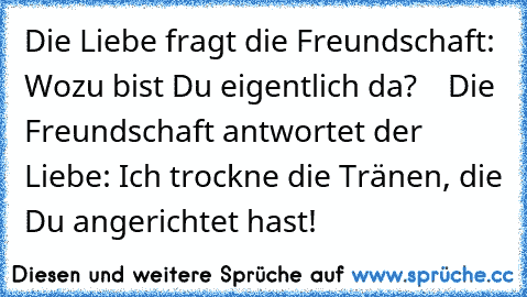 Die Liebe fragt die Freundschaft: Wozu bist Du eigentlich da?
    Die Freundschaft antwortet der Liebe: Ich trockne die Tränen, die Du angerichtet hast!