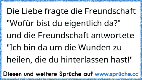 Die Liebe fragte die Freundschaft "Wofür bist du eigentlich da?" und die Freundschaft antwortete "Ich bin da um die Wunden zu heilen, die du hinterlassen hast!"