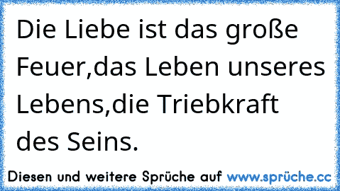 Die Liebe ist das große Feuer,
das Leben unseres Lebens,
die Triebkraft des Seins.