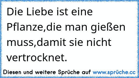 Die Liebe ist eine Pflanze,
die man gießen muss,
damit sie nicht vertrocknet.