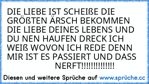 DIE LIEBE IST SCHEIßE DIE GRÖßTEN ÄRSCH BEKOMMEN DIE LIEBE DEINES LEBENS UND DU NEN HAUFEN DRECK ICH WEIß WOVON ICH REDE DENN MIR IST ES PASSIERT UND DASS 
                       NERFT!!!!!!!!!!!!!!