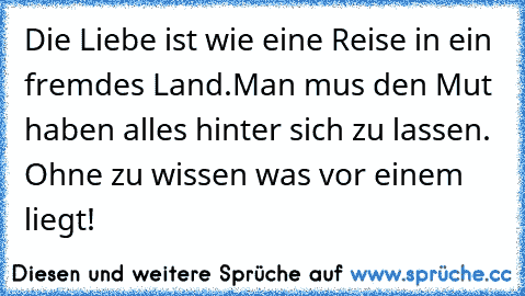 Die Liebe ist wie eine Reise in ein fremdes Land.Man mus den Mut haben alles hinter sich zu lassen. Ohne zu wissen was vor einem liegt!