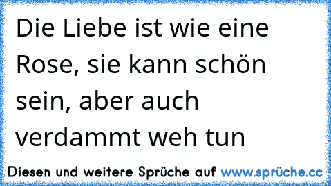 Die Liebe ist wie eine Rose, sie kann schön sein, aber auch verdammt weh tun