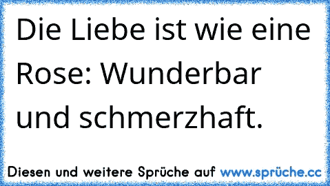 Die Liebe ist wie eine Rose: Wunderbar und schmerzhaft.