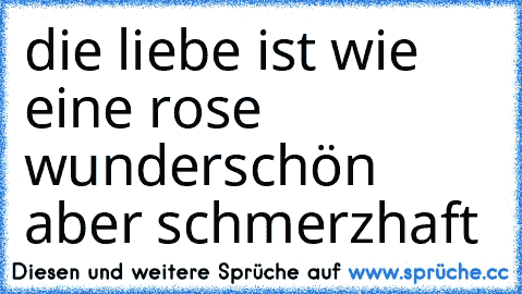 die liebe ist wie eine rose ♥ wunderschön aber schmerzhaft ♥