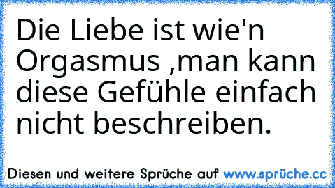 Die Liebe ist wie'n Orgasmus ,man kann diese Gefühle einfach nicht beschreiben.